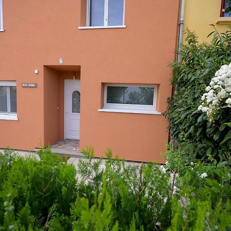 Chez Odette - Spa, Plancha, Parking Albi Kültér fotó