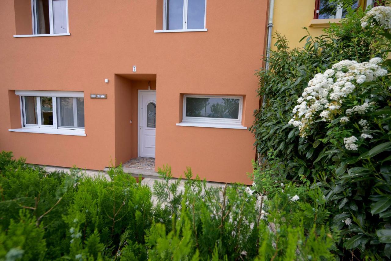 Chez Odette - Spa, Plancha, Parking Albi Kültér fotó